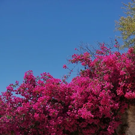Villa Vila Esparto Algarve